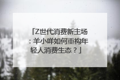 Z世代消费新主场：羊小咩如何重构年轻人消费生态？